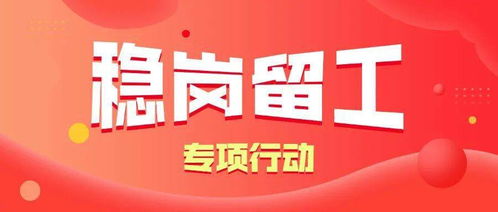 百萬(wàn)青年長(zhǎng)技能,促進(jìn)就業(yè)見(jiàn)行動(dòng)